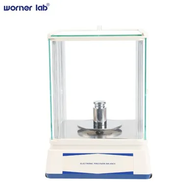 Elektronska precizna vaga